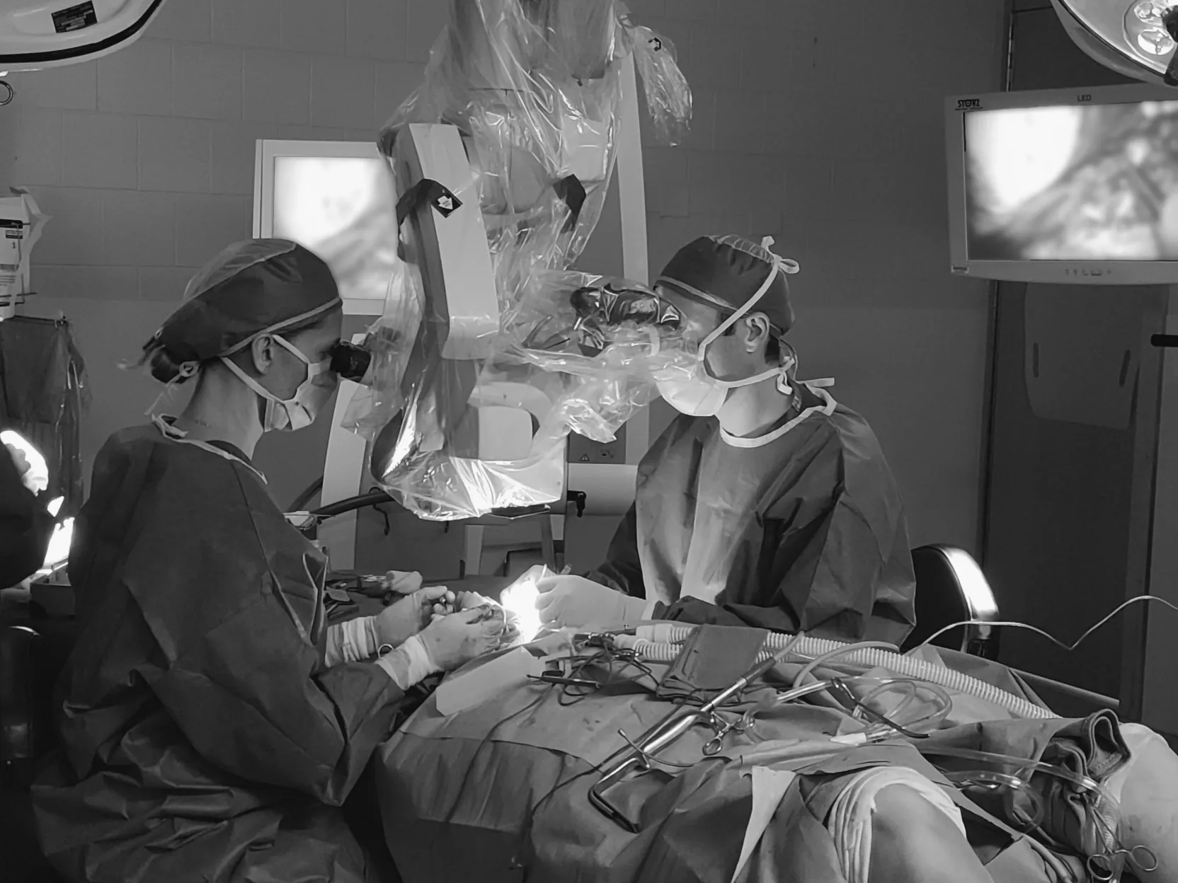 Dr. Jowett performing microsurgery